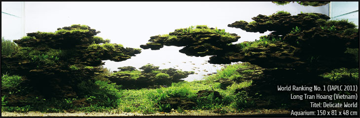 Long Tran Hoang (VIETNAM), Title: Delicate World Long Tran Hoang (VIETNAM), Title: Delicate World